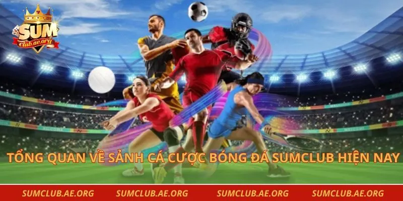 Tổng quan về sảnh cá cược bóng đá sumclub hiện nay