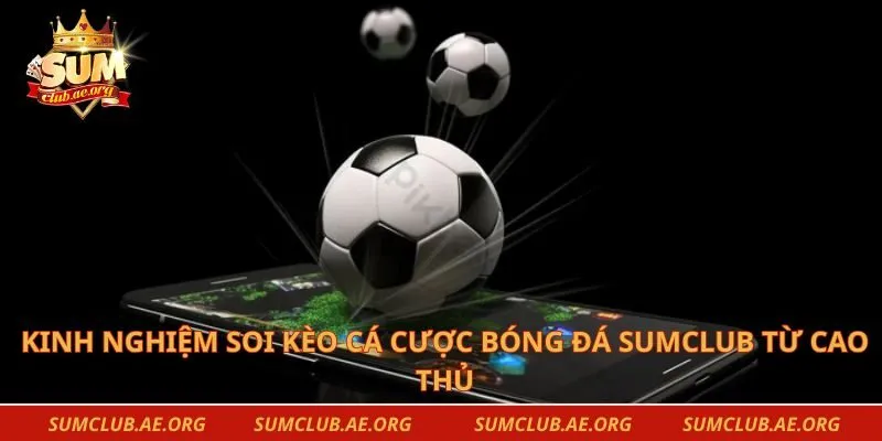 Kinh nghiệm soi kèo cá cược bóng đá sumclub từ cao thủ