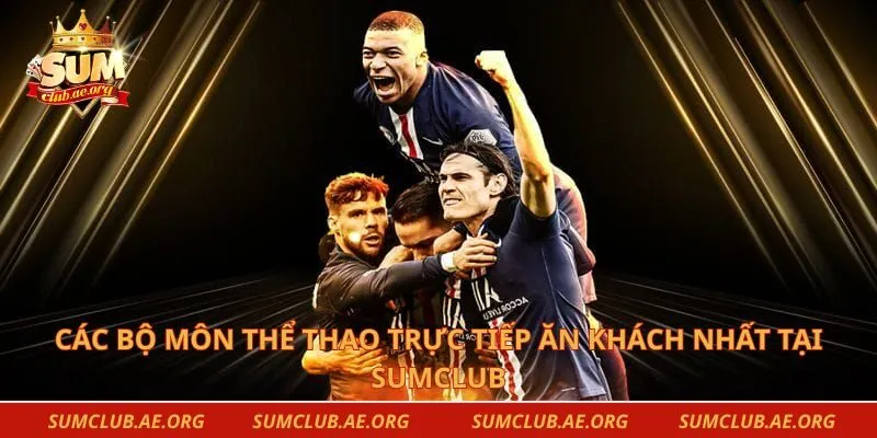 Các bộ môn thể thao trực tiếp ăn khách nhất tại Sumclub
