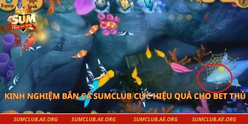 Kinh Nghiệm Bắn Cá Sumclub Cực Hiệu Quả Cho Bet Thủ