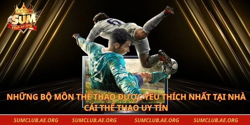 Những bộ môn thể thao được yêu thích nhất tại nhà cái thể thao uy tín