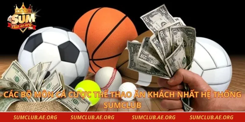 Các bộ môn cá cược thể thao ăn khách nhất hệ thống Sumclub